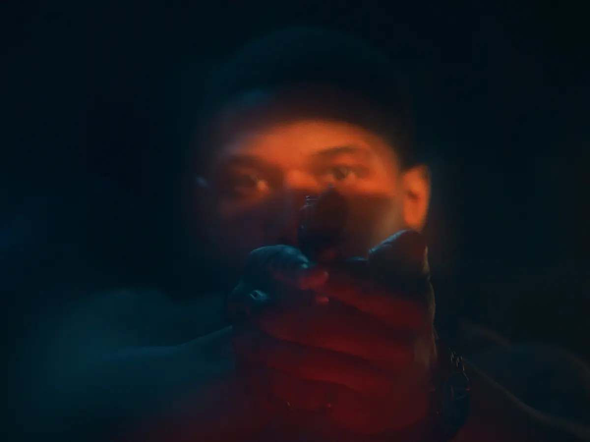 CZU Shadow still 1
